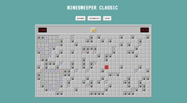 Project Screenshot
